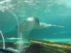 AU_2010-03-30_021.jpg